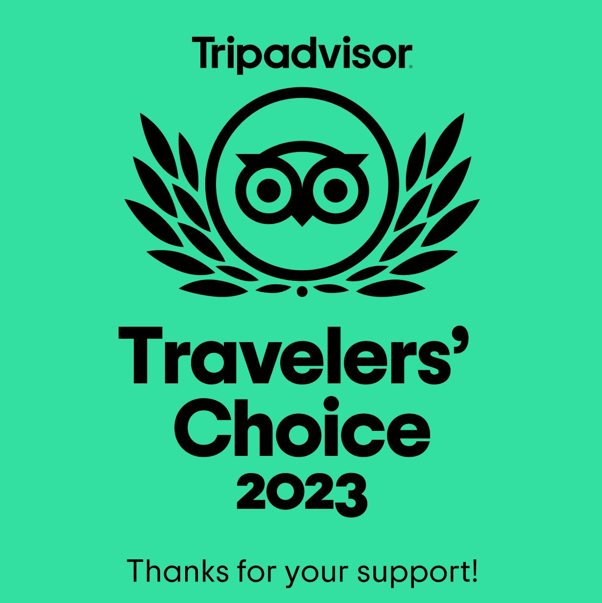 Tripadvisor icon